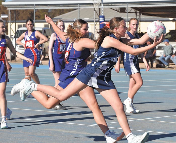 YPNA scores and reports
