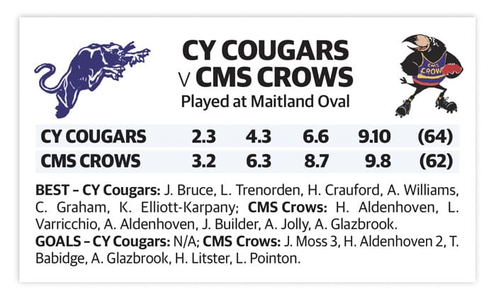 YPFL: Cougars gutsy winners