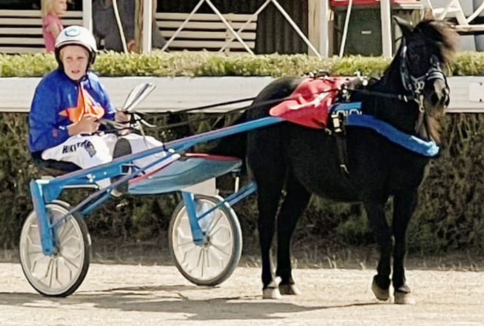 YP Harness Racing Club news