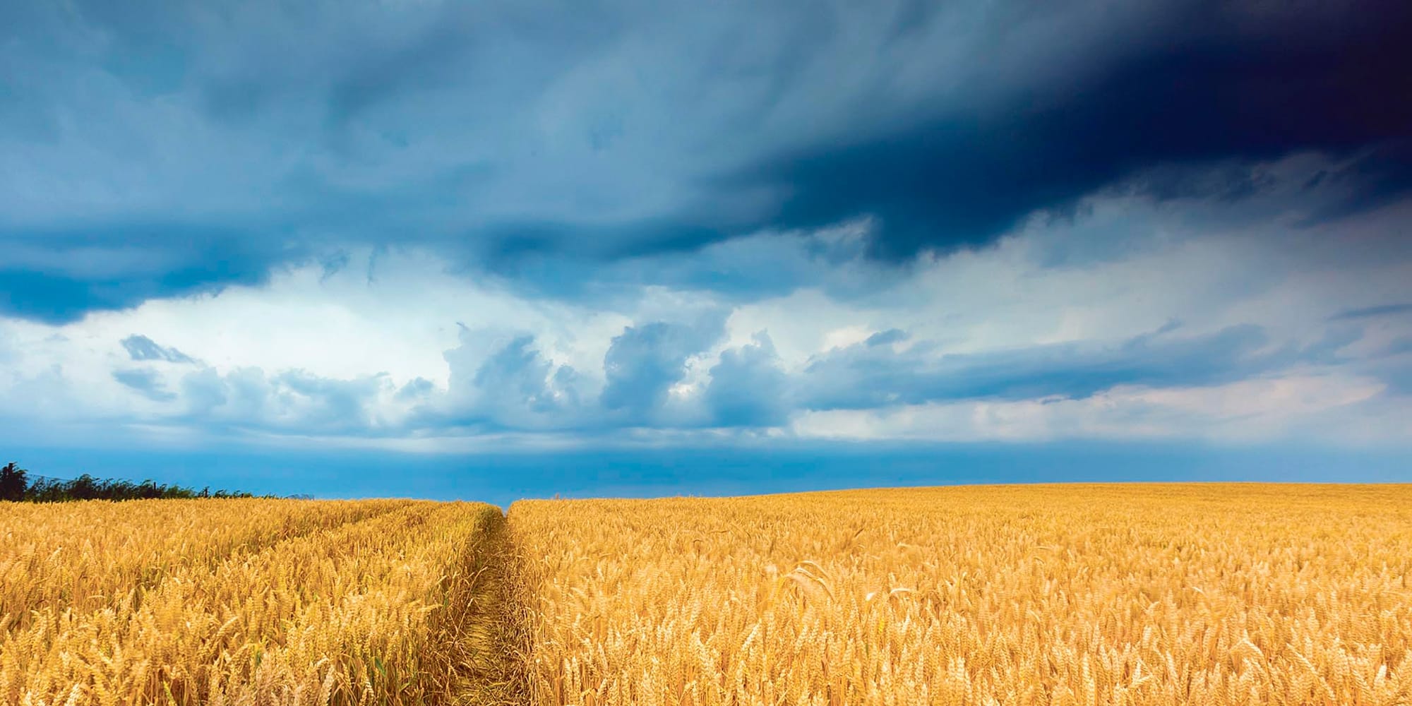 Market and the La Nina strengthen ag outlook