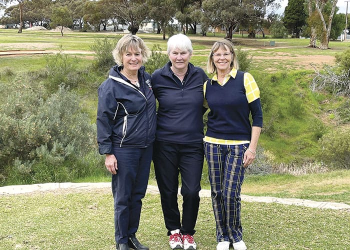 Golf: Ardrossan club championships