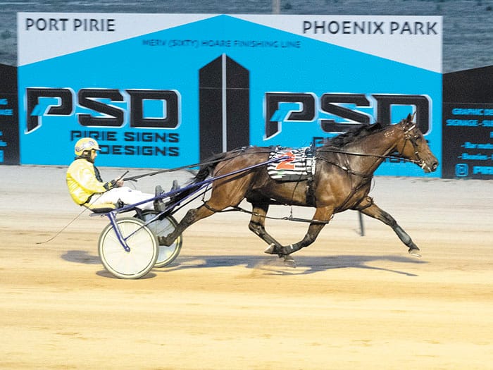 YP harness racing news