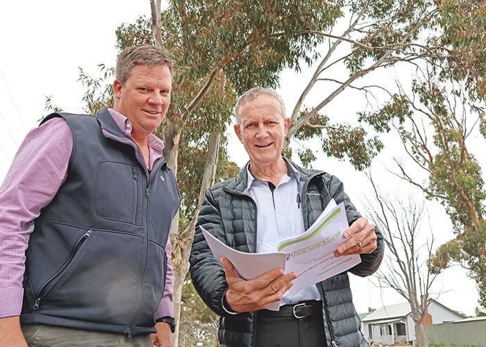 Tree change for Moonta entrance