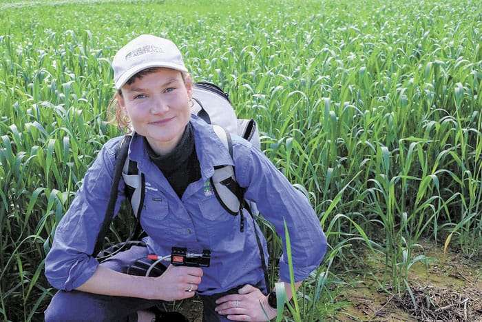 Simple method to detect low lime