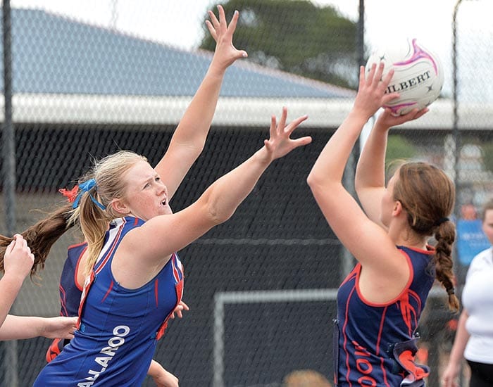 YPNA scores and reports
