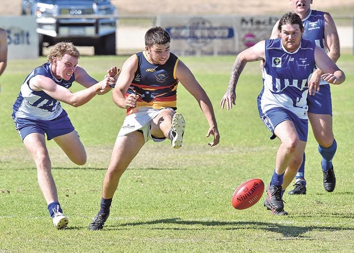 Crows crush Roos