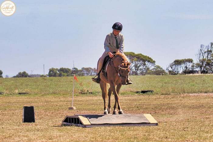 Kadina hosts state pony club gymkhana
