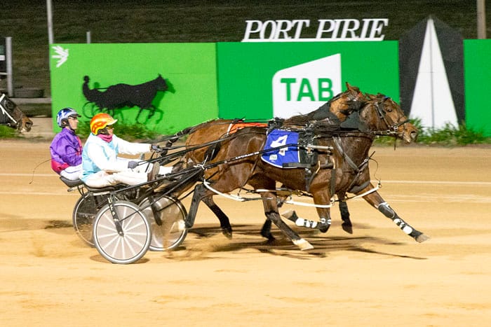 YP Harness Racing Club news