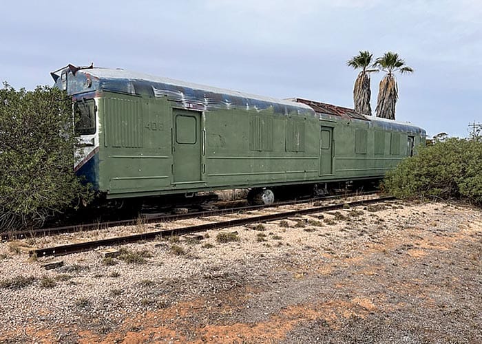 Red Hen coming back to roost