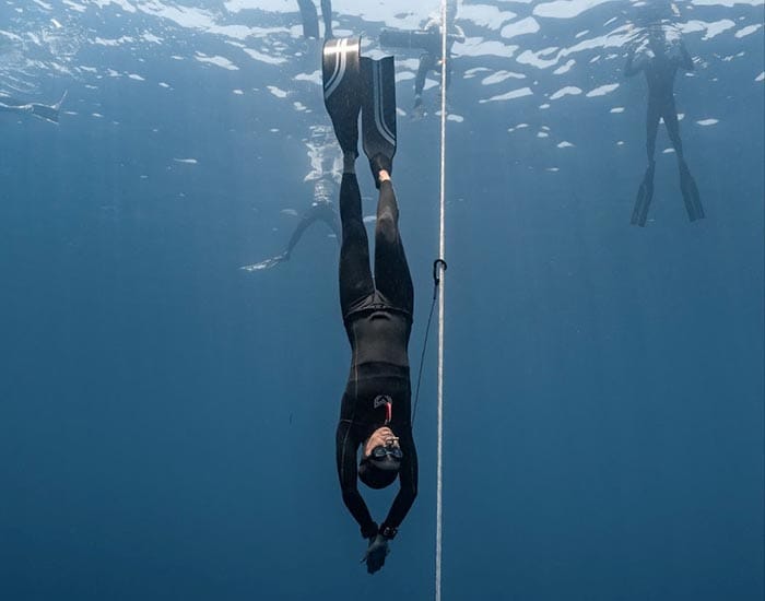 Tara dives into record books