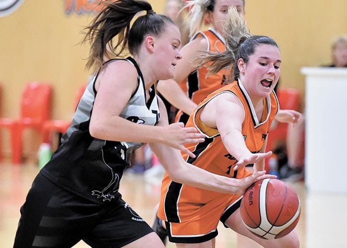 Yorke Valley basketball
