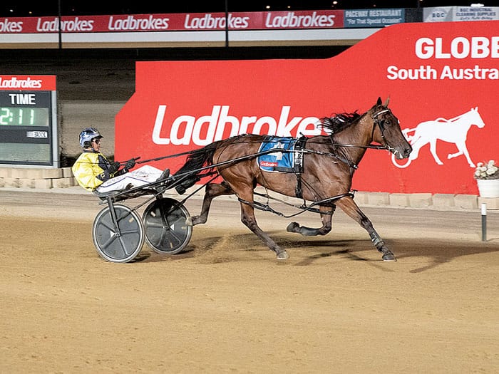 YP harness racing