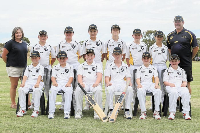 Cricket: Learning experience for under 12s