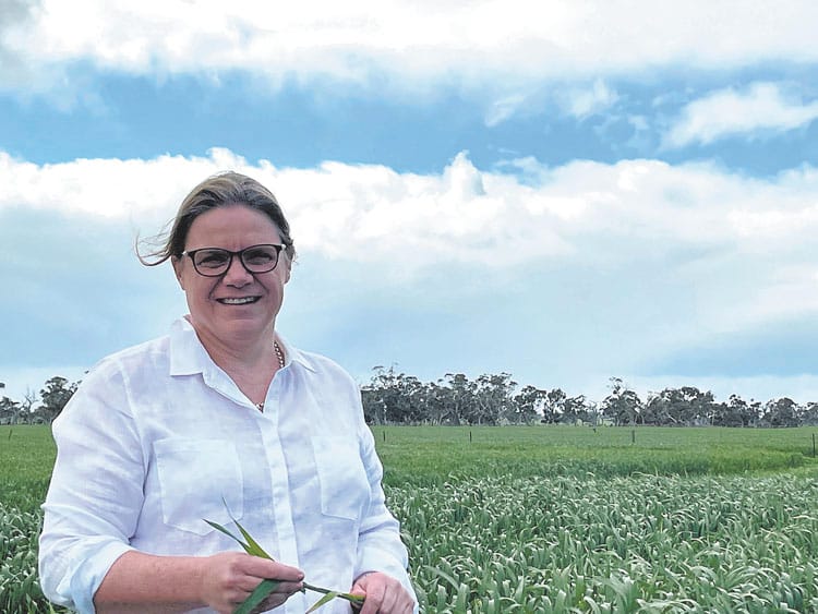 Understanding risk management on the farm