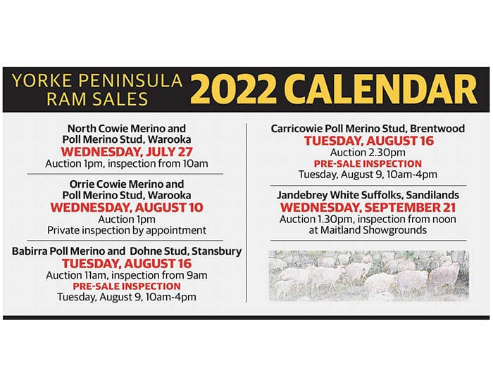 2022 Yorke Peninsula ram sales