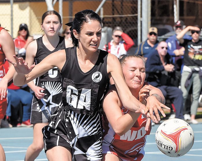 YPNA scores and reports