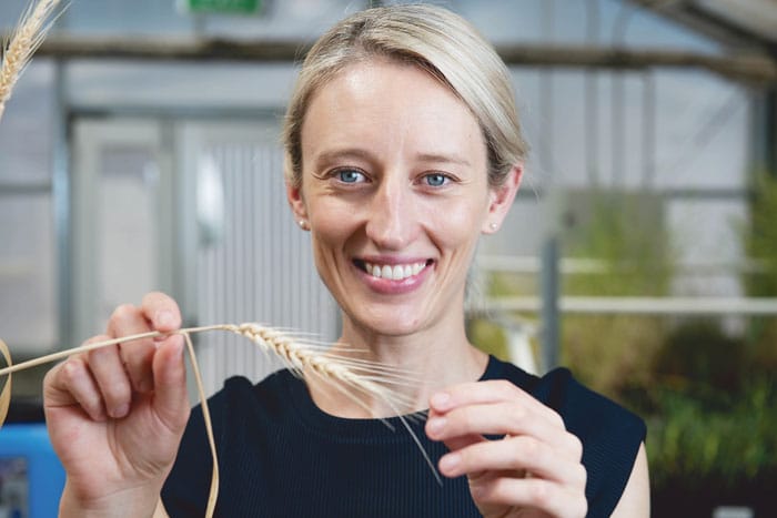 Shining a light on root distribution