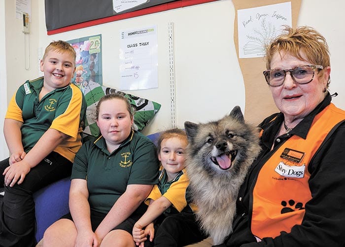 Pink helping a new generation of readers