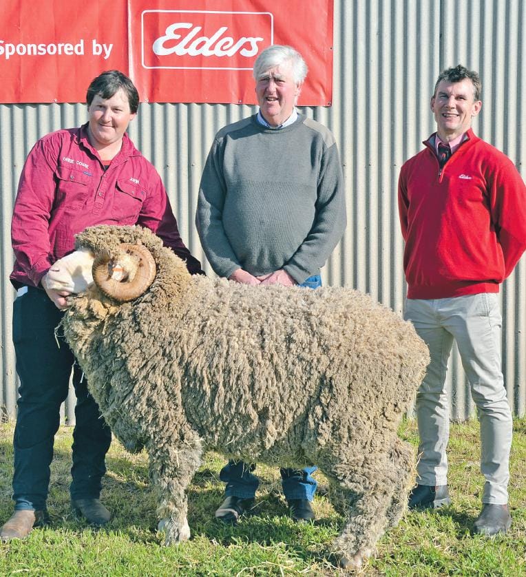 Near-record sale for Orrie Cowie Merino ram
