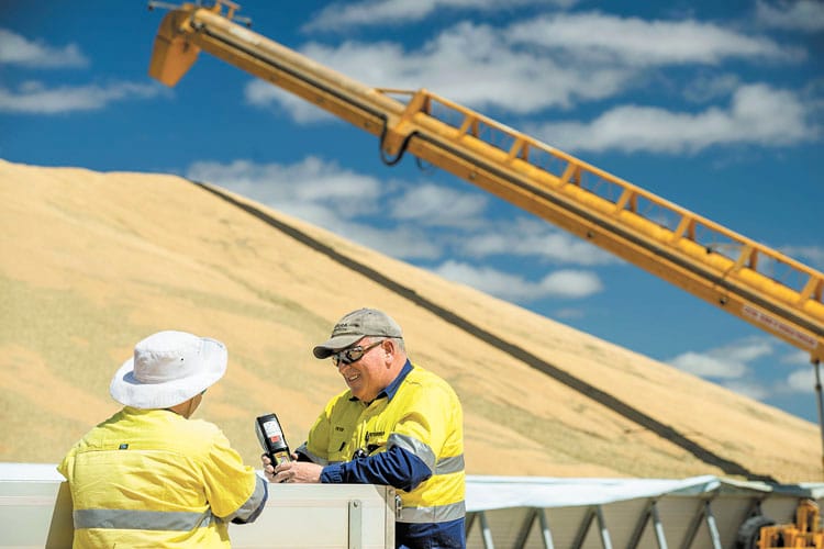 Viterra operational jobs on offer