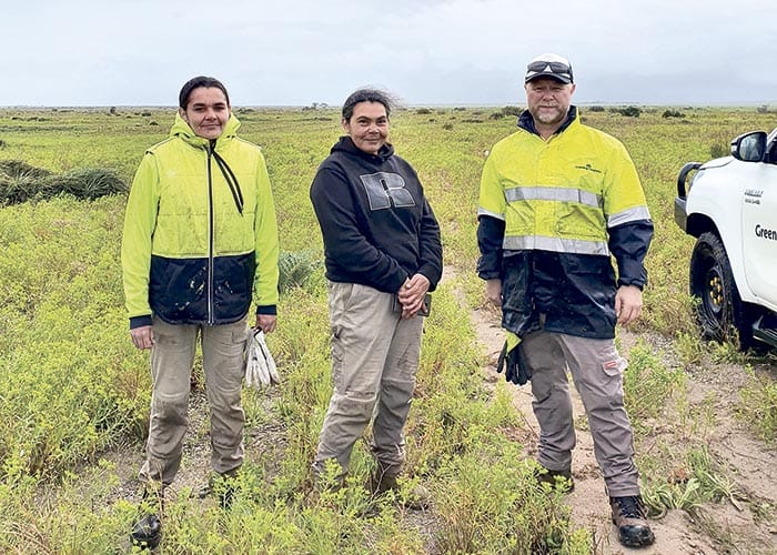 Revegetating Yorke Peninsula’s coast