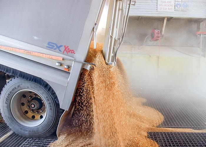 Merged giant to dominate SA grain