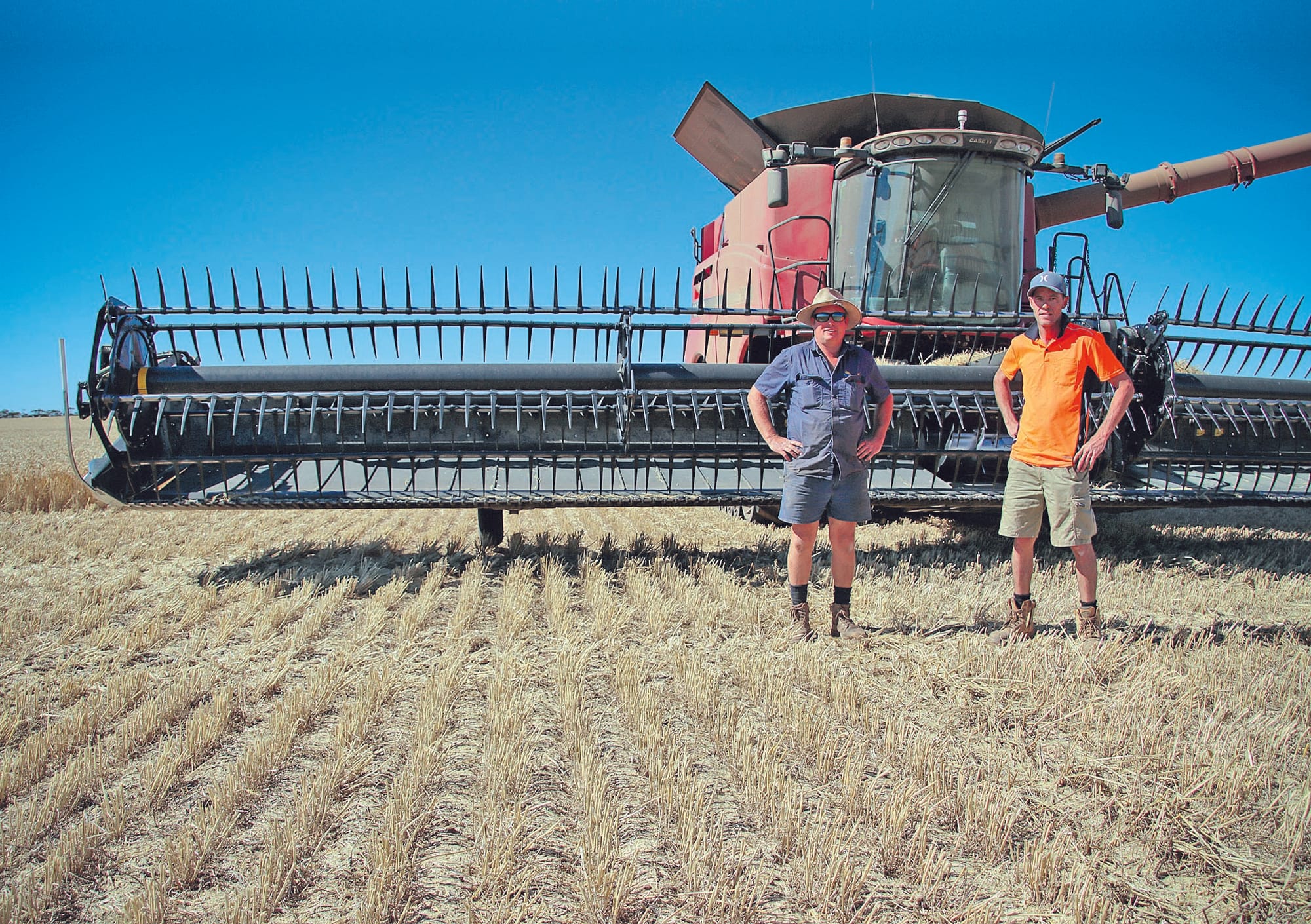 Season concludes for NYP farmers