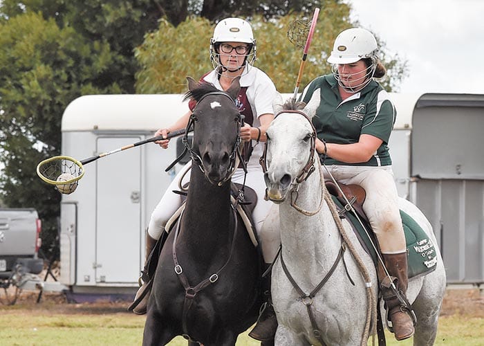 Minlaton hosts state polocrosse