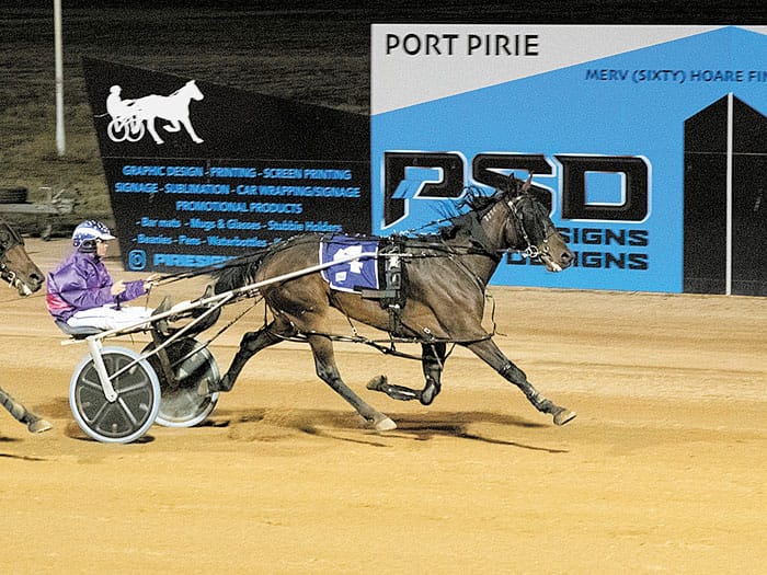 Harness racing at Port Pirie