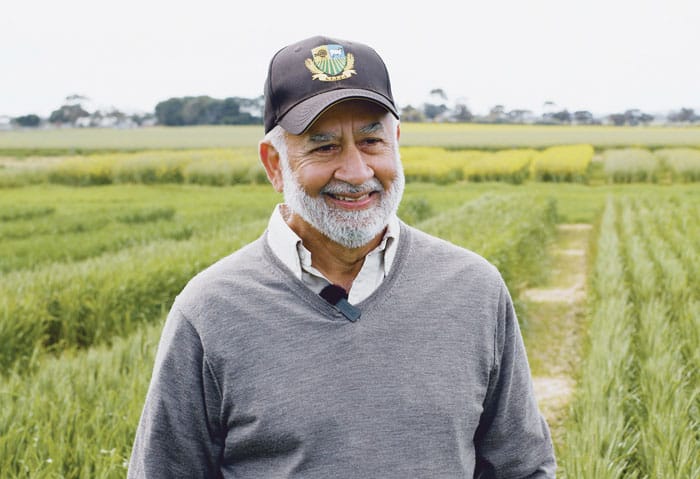 Growers armed with triple threat against weeds