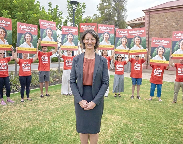 Independent for Grey candidate announced