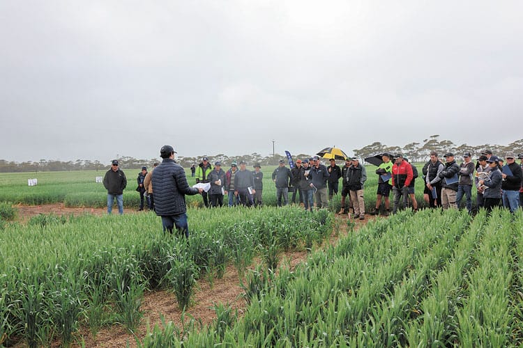 Crowd keen for technology trials showcase at Bute