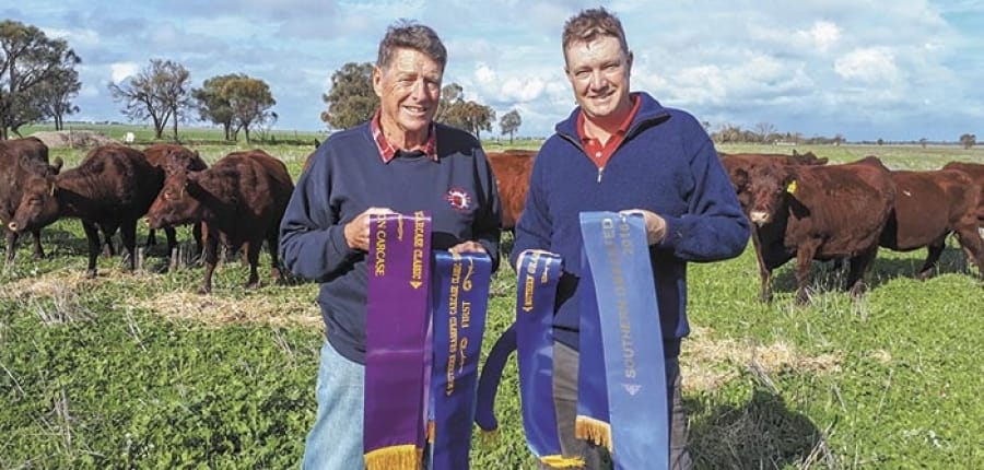 Outstanding success for SYP beef producers