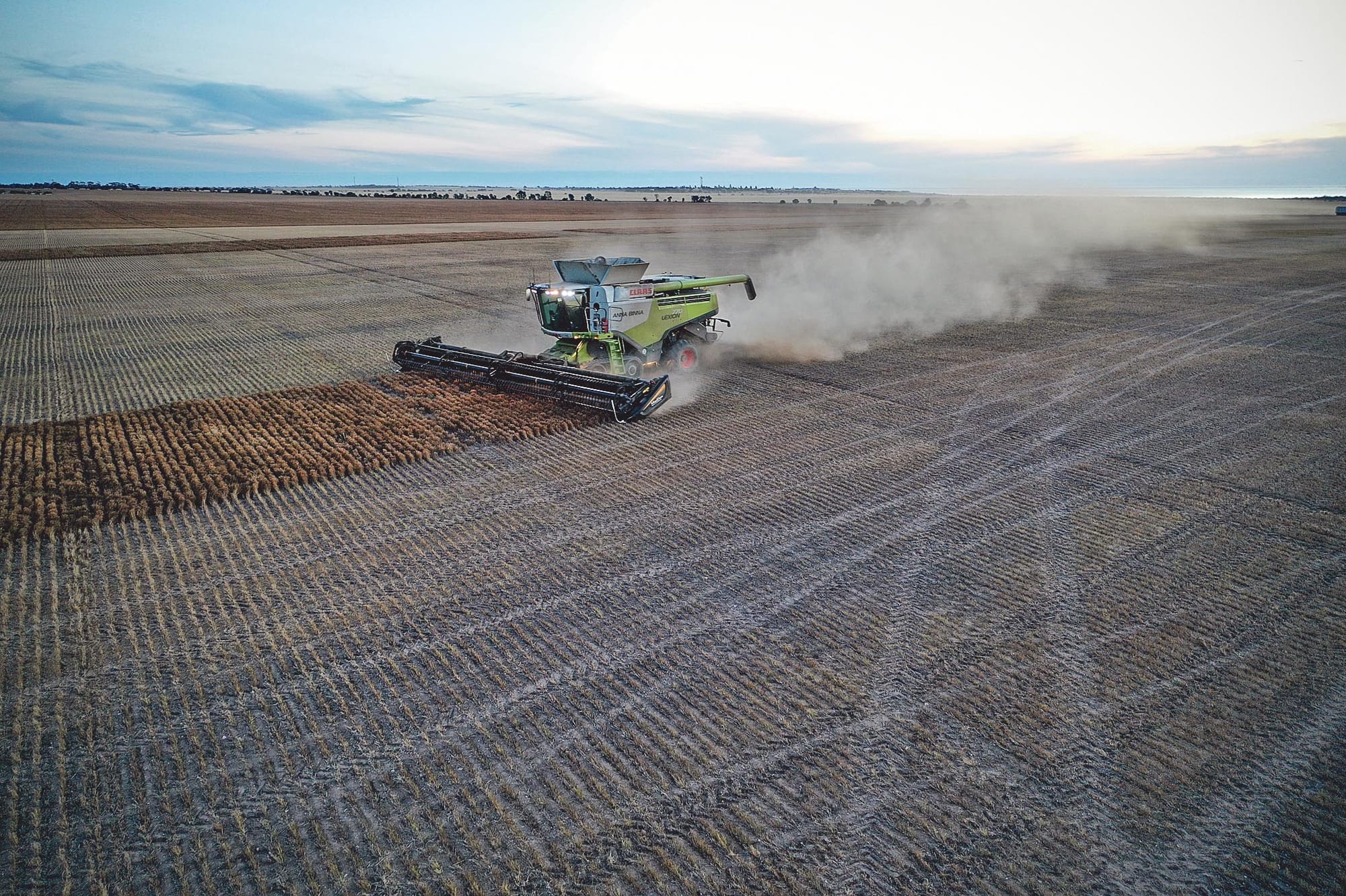 Varying harvest on central YP