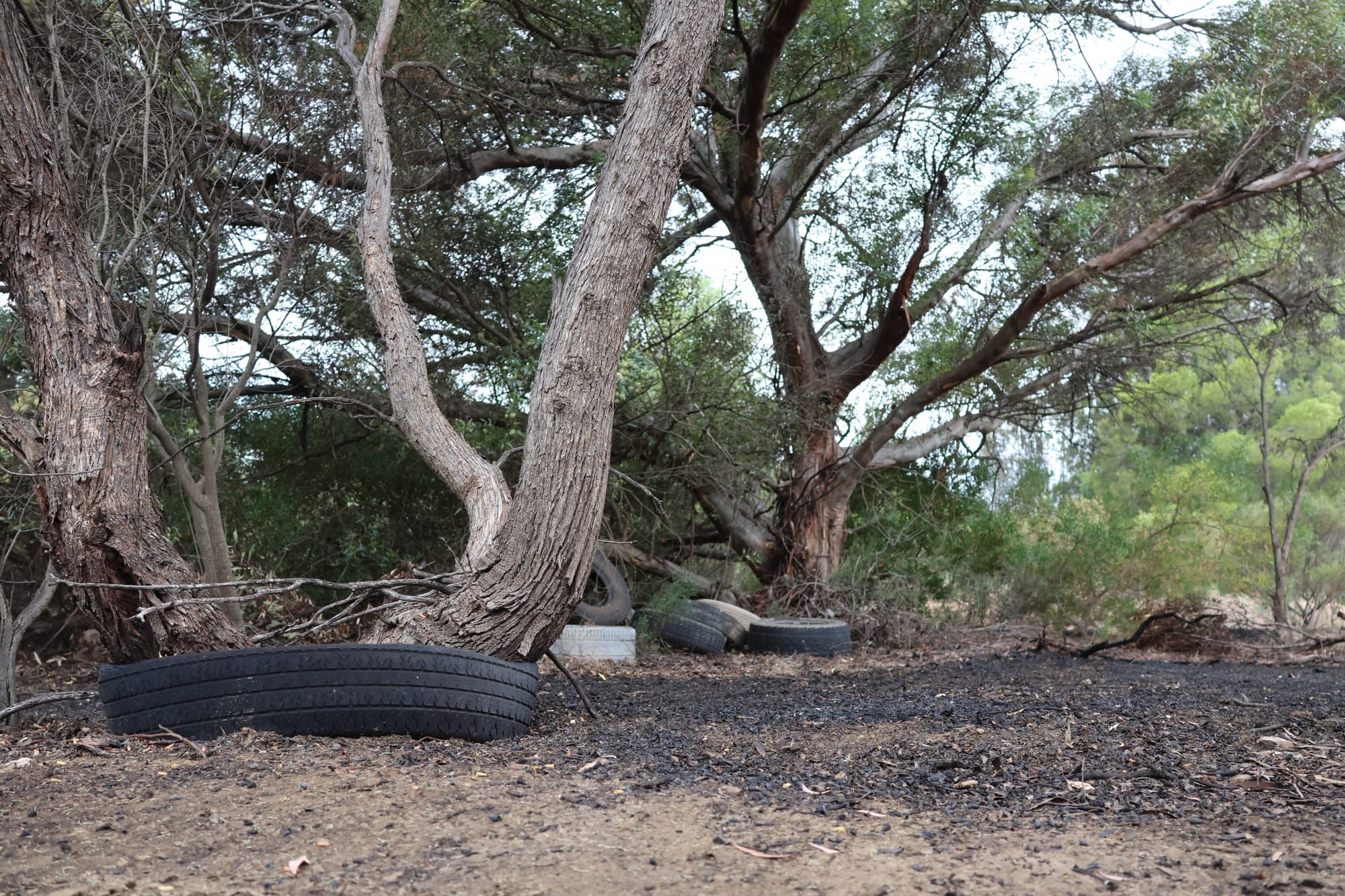 FURY OVER FIRES