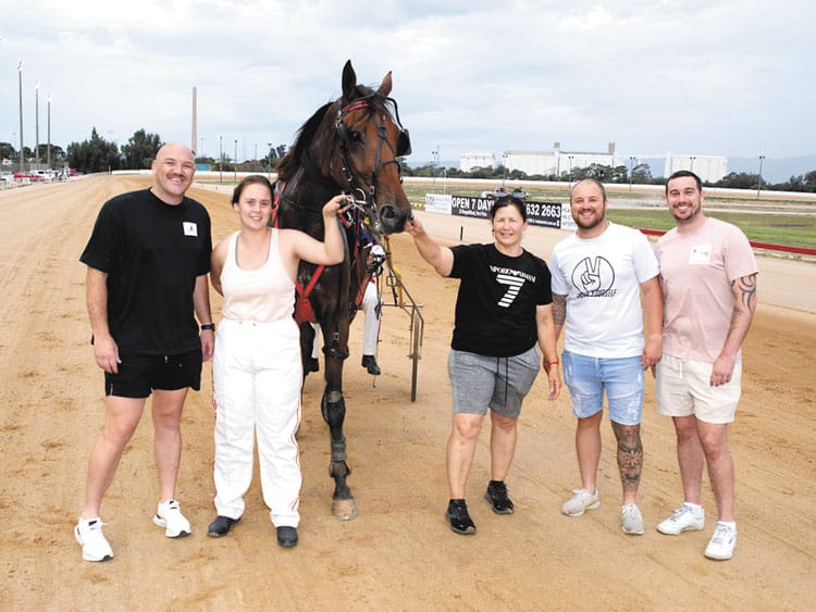 YP harness racing news