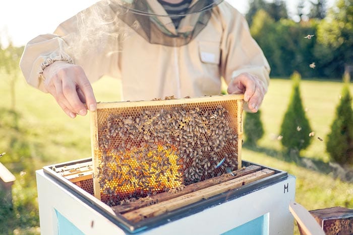 New bill to strengthen biosecurity