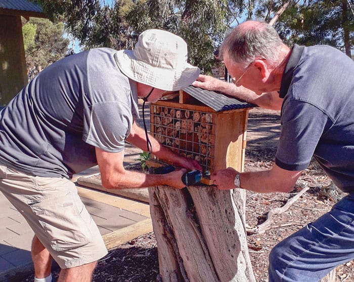 Time to feed native bees