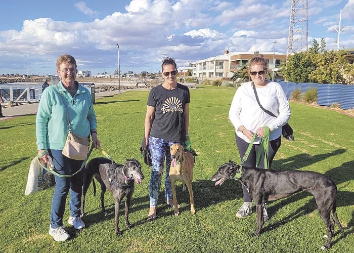 Off-leash proposal for pooches