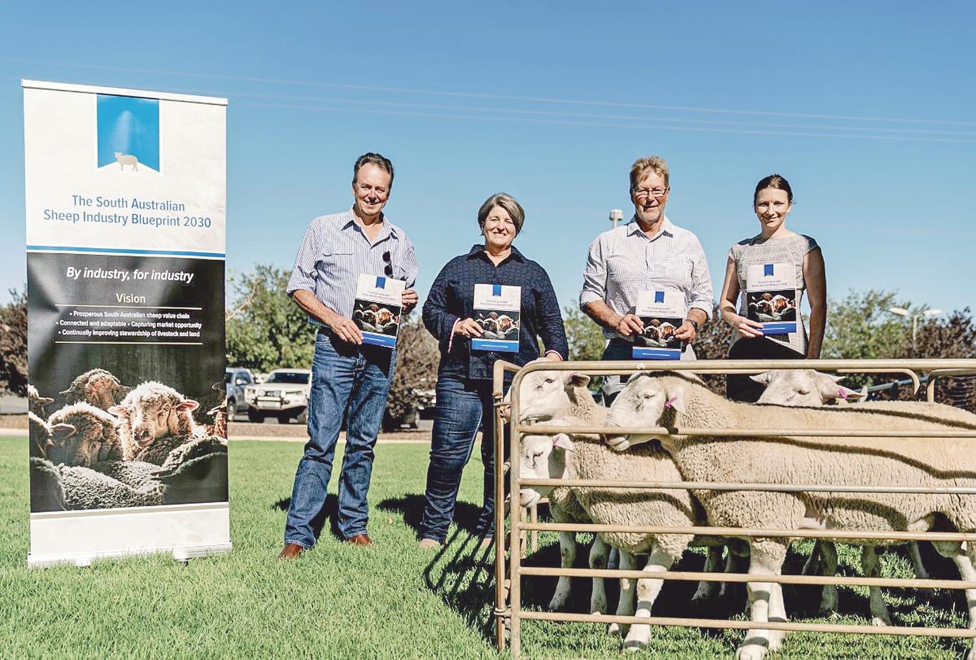 Blueprint to support sheep growth