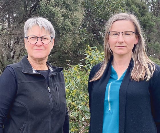 Council expresses concern over vegetation clearance