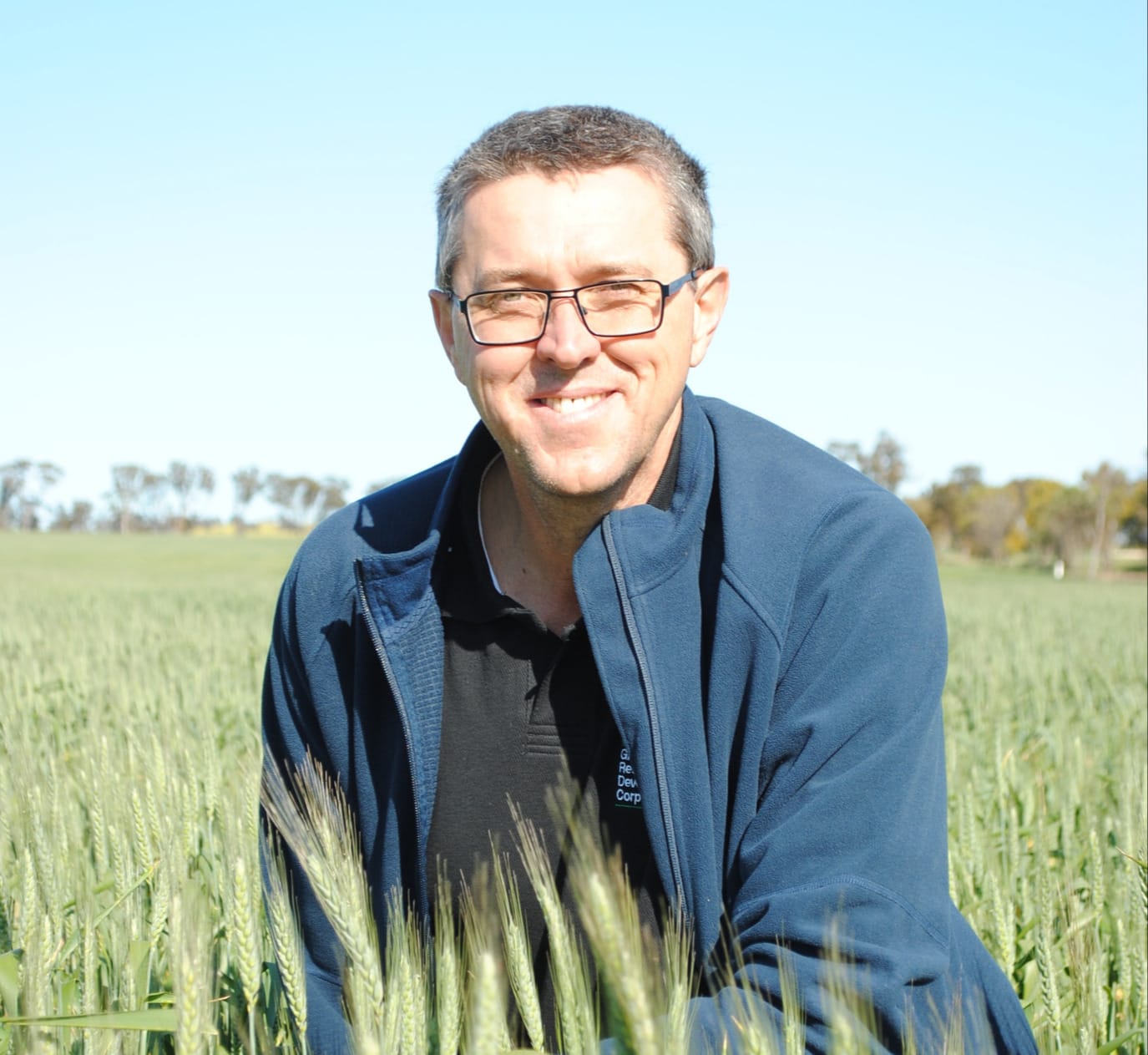 Developing better wheat
