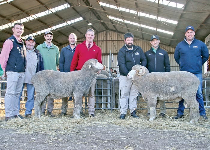 North Cowie prepares for 36th annual sale