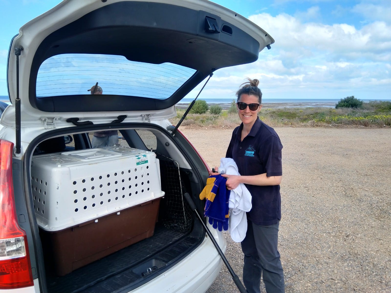 Pelican rescue at Port Vincent