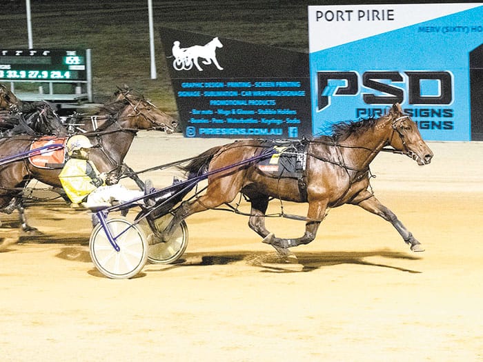 YP Harness Racing news