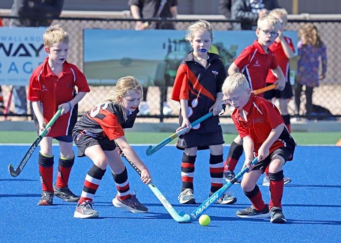YP hockey