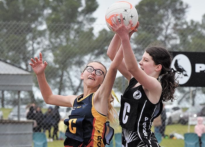 YPNA scores and reports