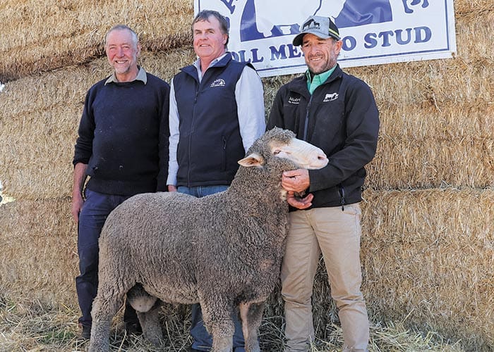 White River genetics on top at Carricowie