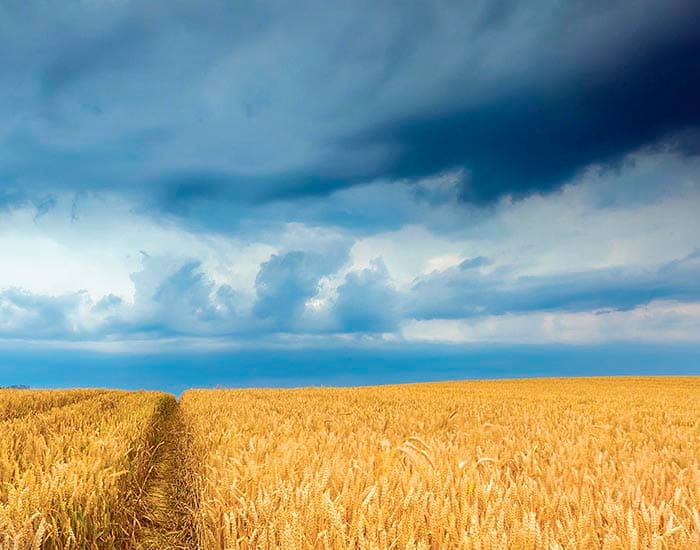 Bring on more rain