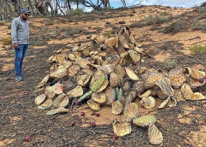 Landscape board defends its work